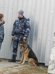 Резюме Ступин Игорь Олегович